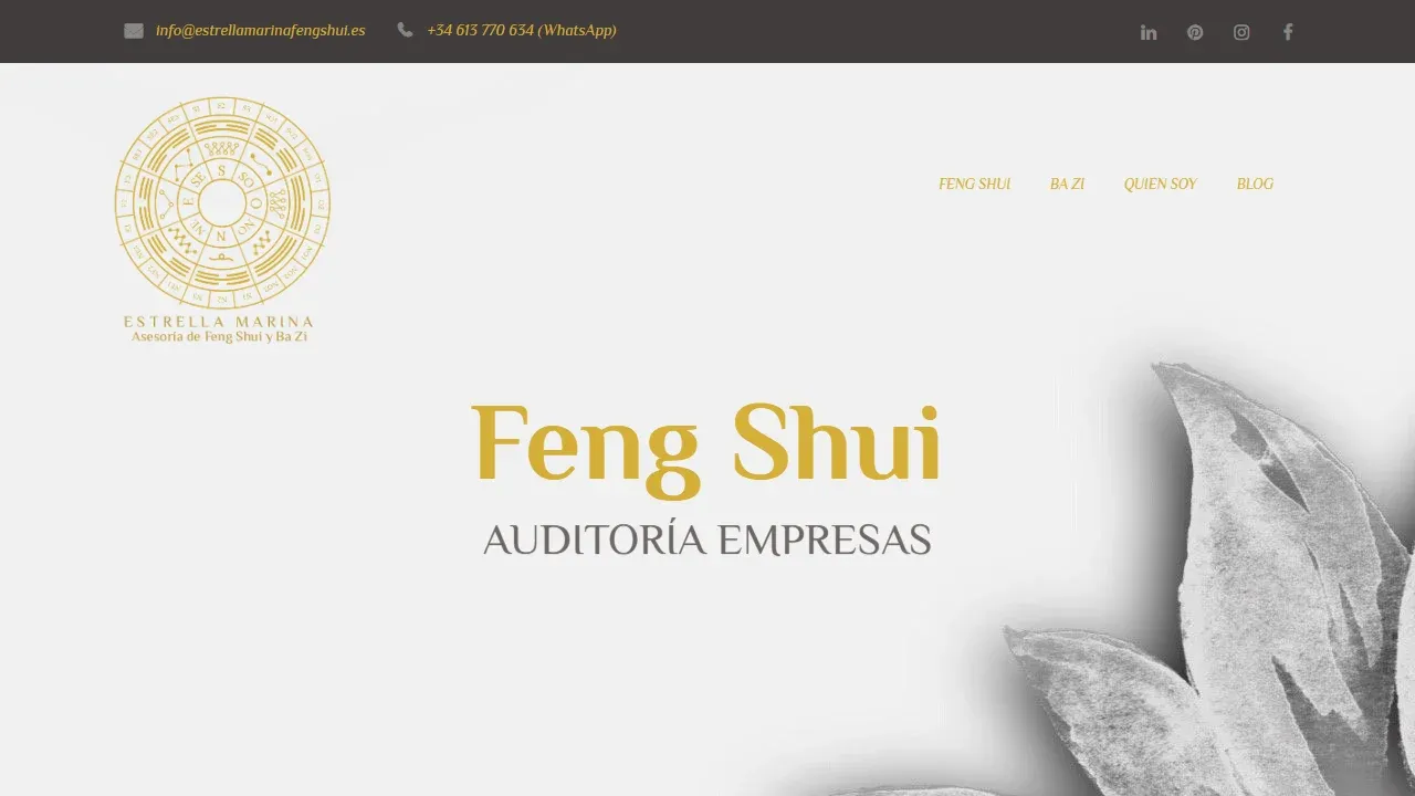 Feng Shui y Bazi - Estrella Marina - Asesoría Feng Shui Tenerife - SEO Servicios
