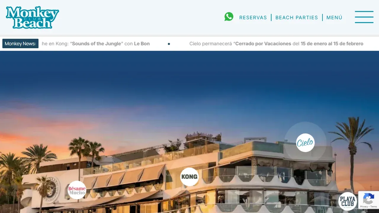 Proyecto Monkey Bar Tenerife - Restaurante Costa Adeje - SEO Gastronómico Local - Caso de éxito Monkey Bar