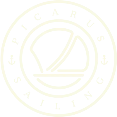 Logo de Picarus Sunglasses