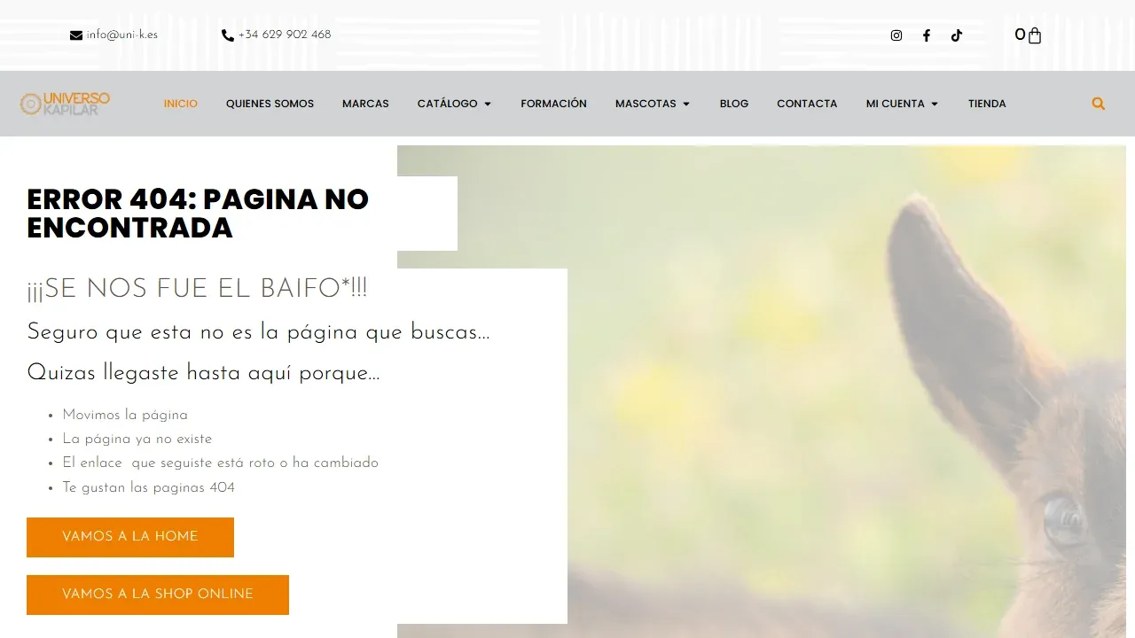 Proyecto Uni-K - Uniformes y Vestuario Laboral Tenerife - SEO Retail B2B - Caso de éxito Uni-K